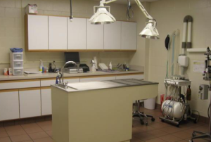 Dentistry Suite