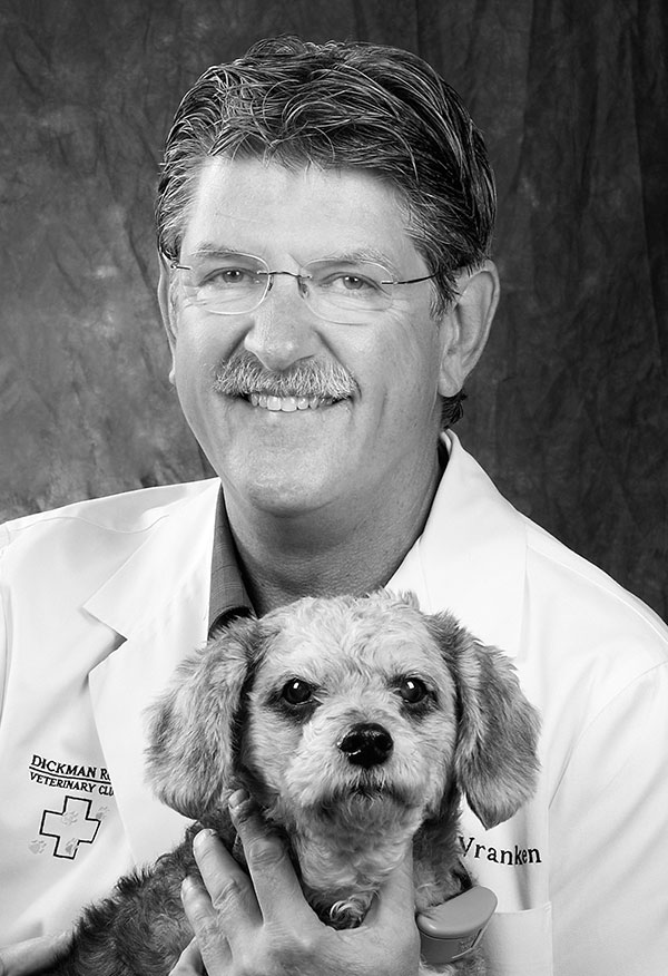 Veterinarians in Battle Creek, MI Dickman Road Veterinary Clinic
